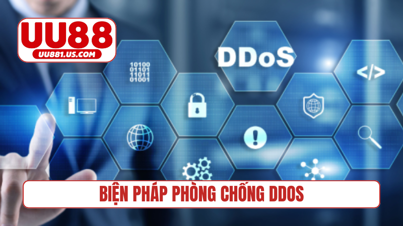 Biện pháp phòng chống DDos của nhà cái
