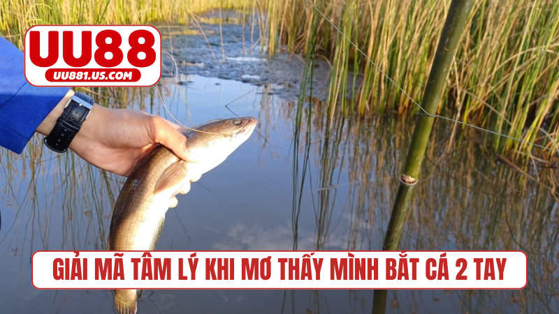 Giải mã tâm lý khi mơ thấy mình bắt cá 2 tay