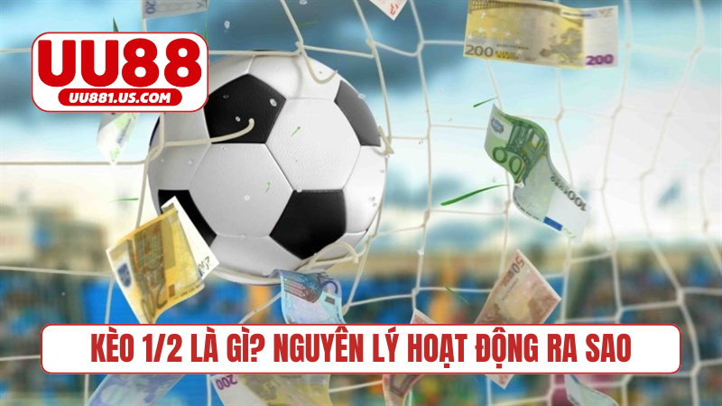 Kèo 1/2 là gì? Nguyên lý hoạt động ra sao