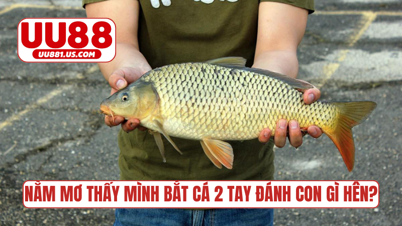 Nằm mơ thấy mình bắt cá 2 tay đánh con gì hên?