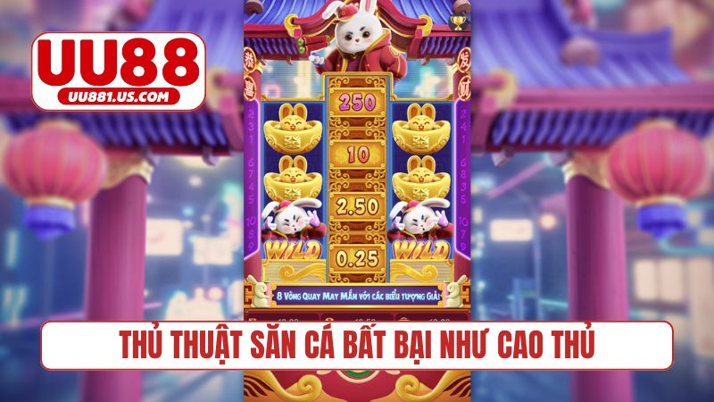 Thủ thuật săn cá bất bại như cao thủ